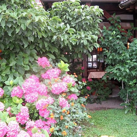 Guest House Zlatibor Budva Eksteriør billede