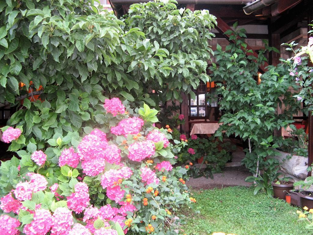 Guest House Zlatibor Budva Eksteriør billede